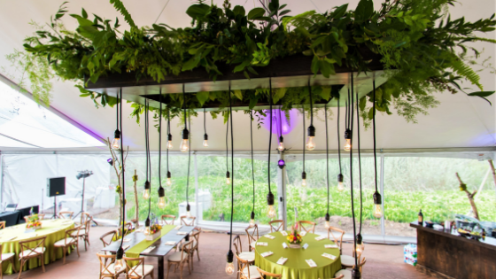 hanging plant with lights strewn from it inside of a wedding reception tent in Utah