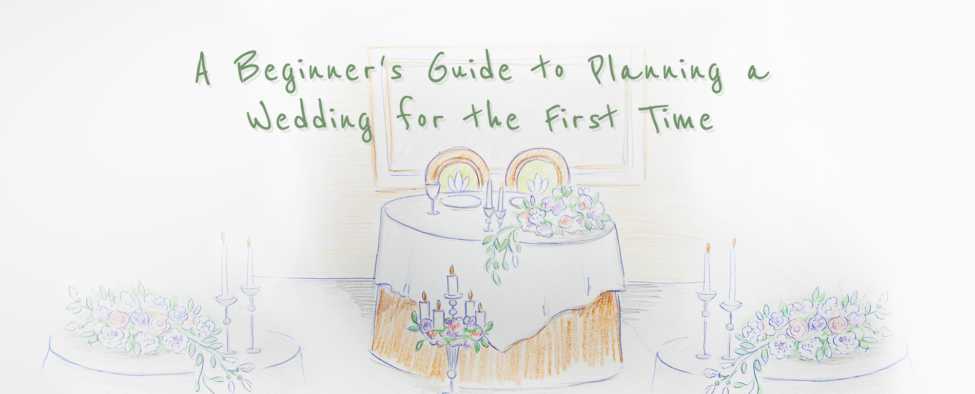 beginner's guide to planning a wedding