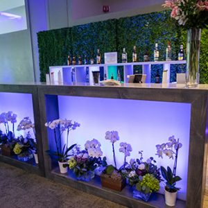 Shadow Box Bar with Blue LED Lights for rent in Salt Lake City Utah
