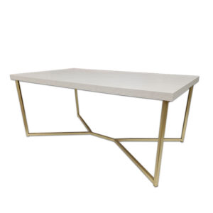 Walker Edison Gold and White Coffee table for rent in Salt Lake City Utah
