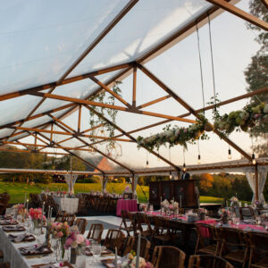 40x Clear Top Timbertrac Canopies