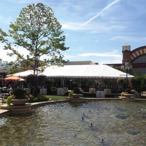 30′ x 70′ Standard Frame Canopy/Tent