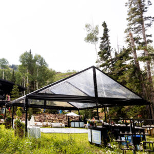 40x Cascade Black Canopies