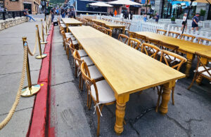 Gold Stanchion Rope Style