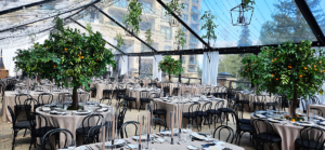 40′ x 100′ Clear Top with Black Trim Cascade Canopy/Tent