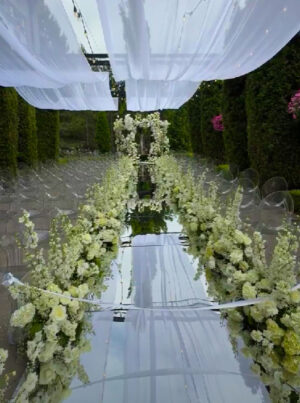 Mirrored Raised Aisle Walkway