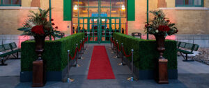 Red Carpet Runner