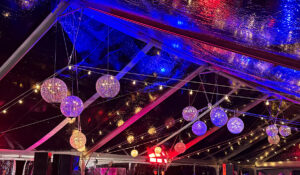 Light Sphere Chandelier