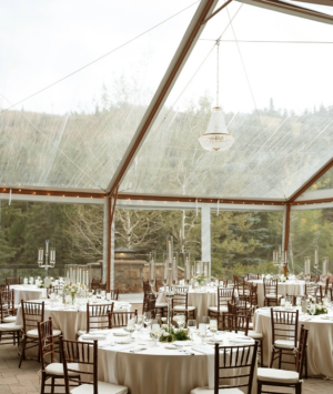 40′ x 60′ Cascade Wood Grain Canopy