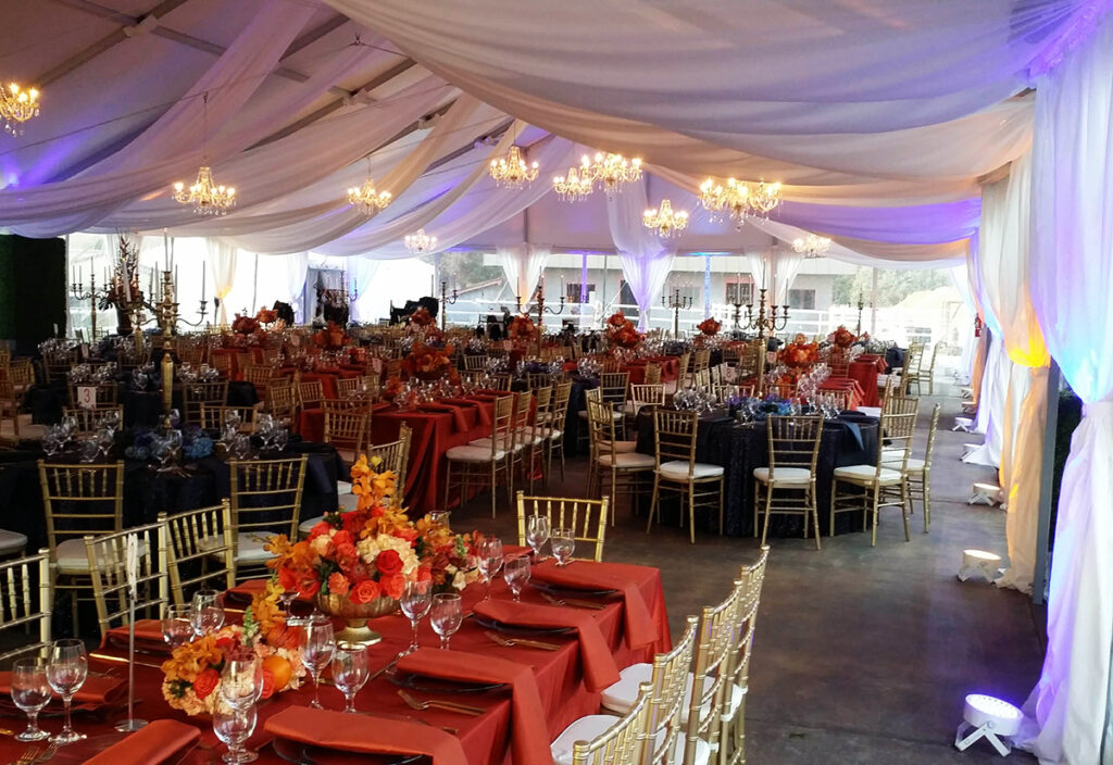 Drape and Lighting - All Out Event Rental