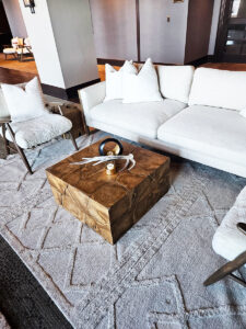 Acrylic Antler Decor