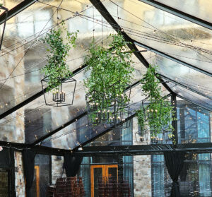 40′ x 100′ Clear Top with Black Trim Cascade Canopy/Tent