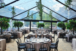 40′ x 100′ Clear Top with Black Trim Cascade Canopy/Tent