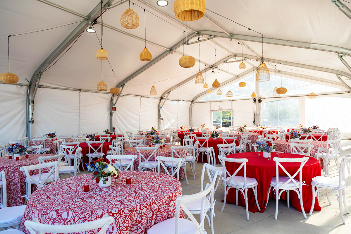 Fremont Rattan Chandelier