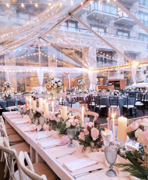 40′ x 40′ Jumbo Trac Clear Top Canopy/ Tent