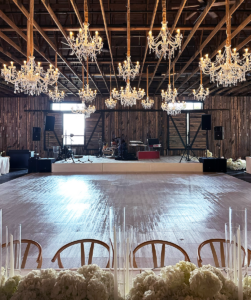 Alina Crystal Chandelier