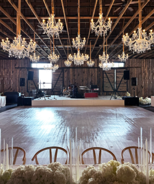 Alina Crystal Chandelier