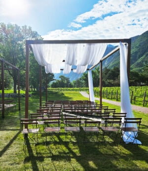 Manchester Brown Arbor