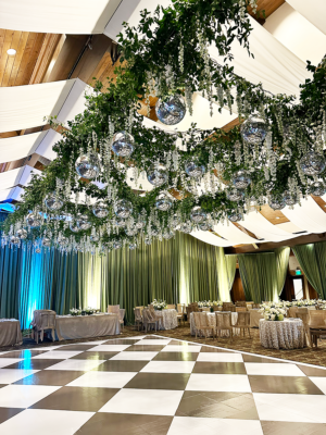 Stationary Disco Ball