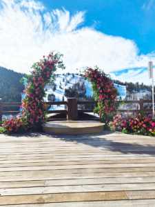 Round Natural Wood Riser